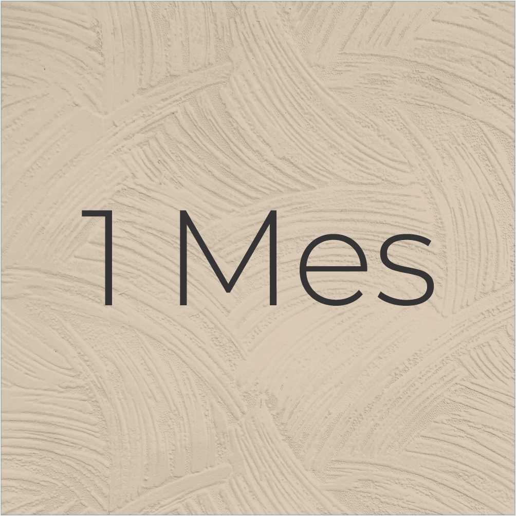 Suscripción mensual